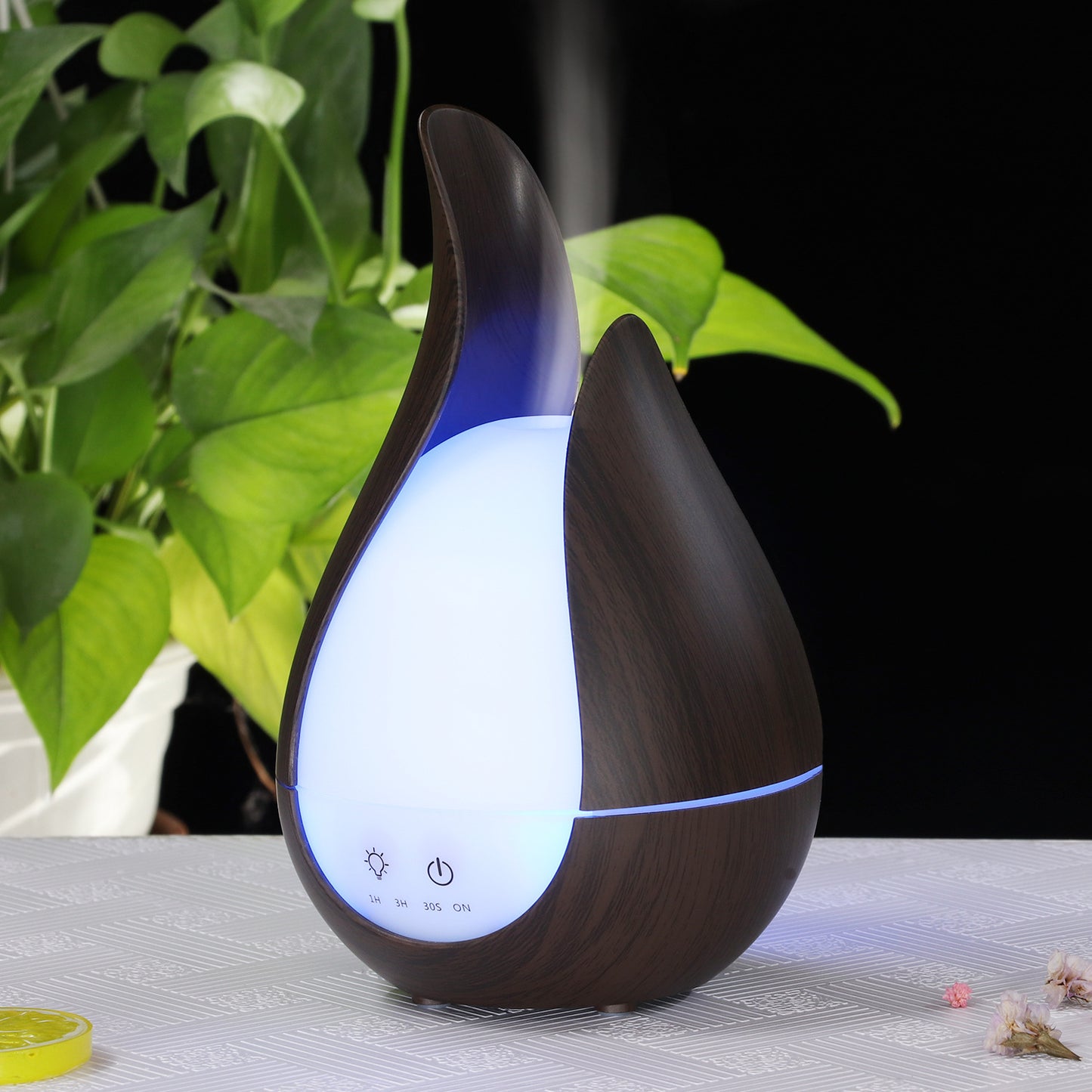 Wood Grain Aroma Diffuser